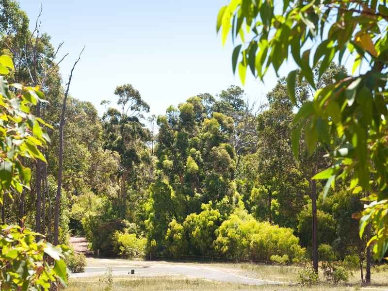 Lot 62, 20 Timber Court, Cowaramup WA 6284