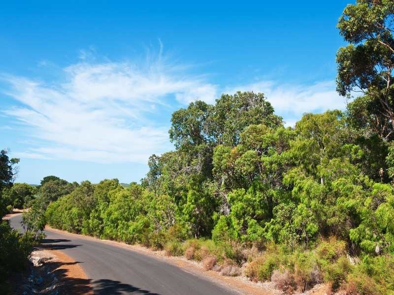 Lot 52 Colyer Drive, Hamelin Bay WA 6288