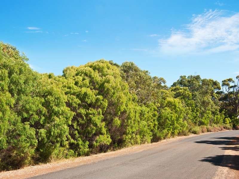 Lot 52 Colyer Drive, Hamelin Bay WA 6288