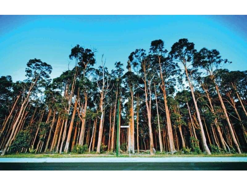 Lot 400,  Pimelia Drive, Margaret River WA 6285