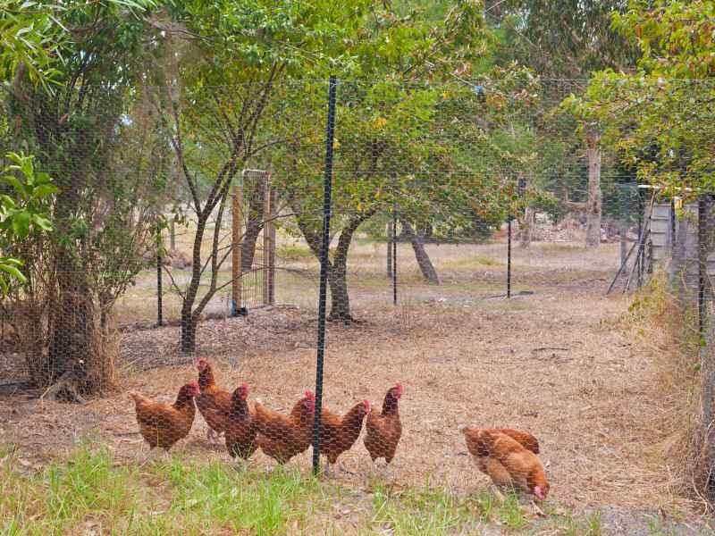 75 Crozier Road, Rosa Brook WA 6285