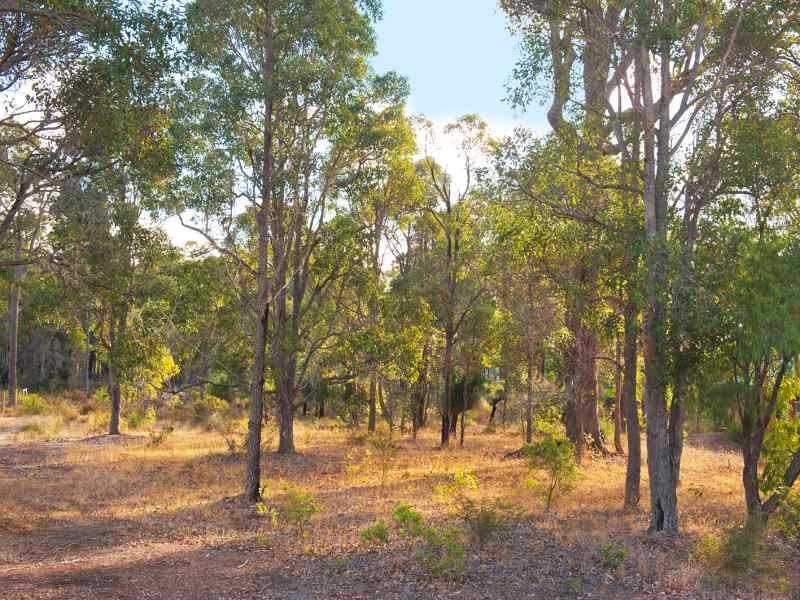 Lot 20 Honeytree Grove, Cowaramup WA 6284