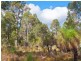 Lot 20 Honeytree Grove, Cowaramup WA 6284