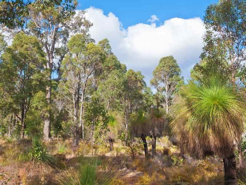 Lot 20 Honeytree Grove, Cowaramup WA 6284