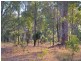 Lot 20 Honeytree Grove, Cowaramup WA 6284