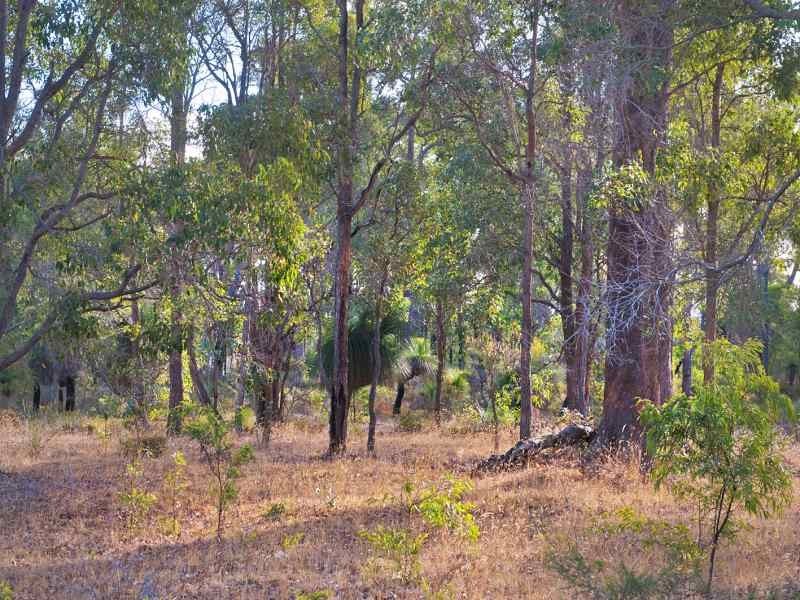 Lot 20 Honeytree Grove, Cowaramup WA 6284