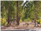 Lot 68 Timber Court, Cowaramup WA 6284