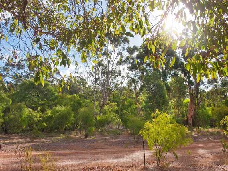 Lot 68 Timber Court, Cowaramup WA 6284