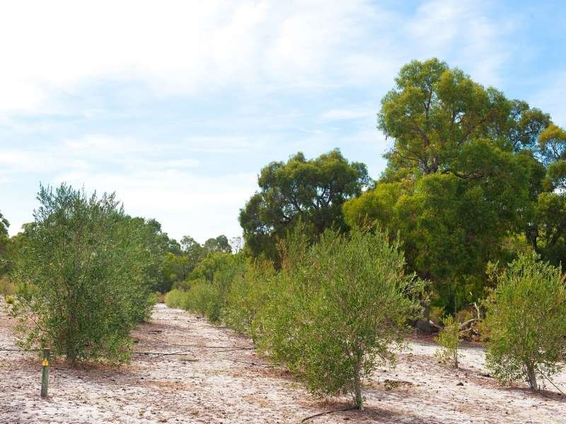 204 Gibb Road, Metricup WA 6280