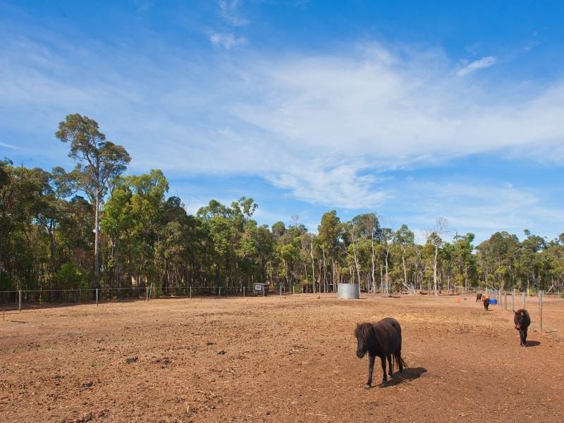 204 Gibb Road, Metricup WA 6280