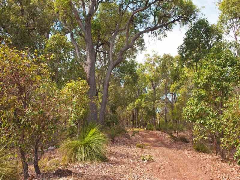 204 Gibb Road, Metricup WA 6280