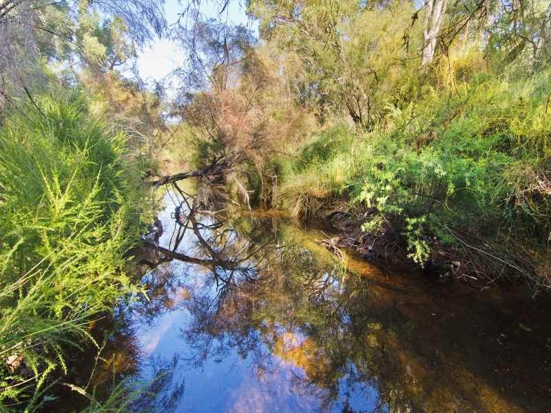 204 Gibb Road, Metricup WA 6280