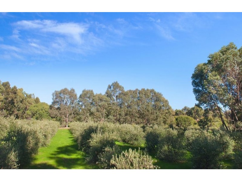 382 Boodjidup Road, Margaret River WA 6285