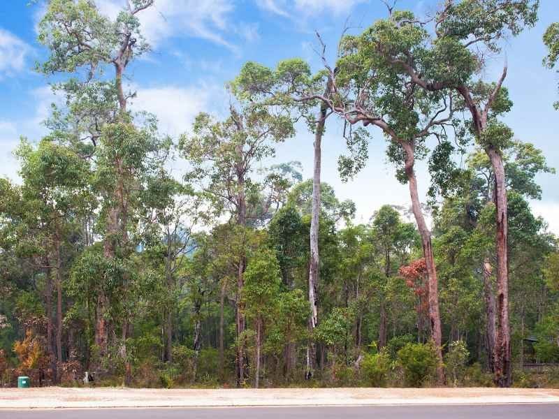 Lot 77, (12) Holly Place, Cowaramup WA 6284