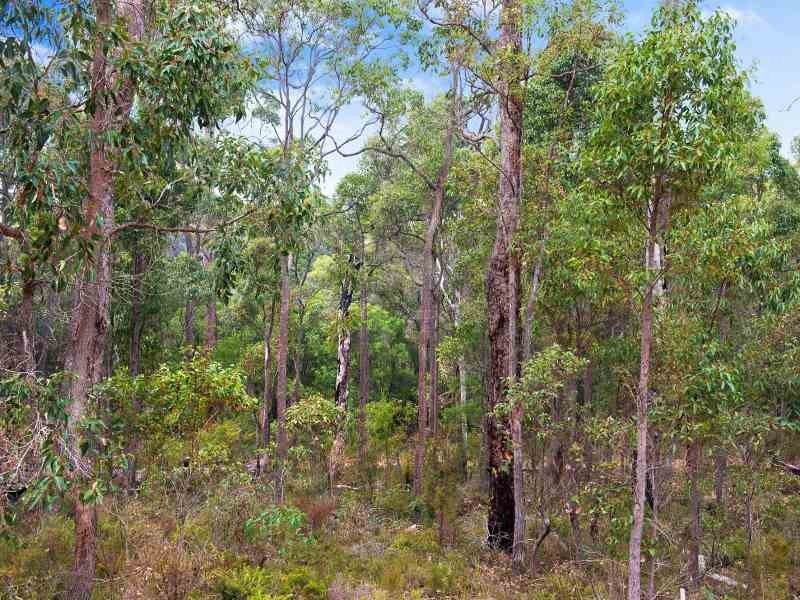 Lot 77, (12) Holly Place, Cowaramup WA 6284