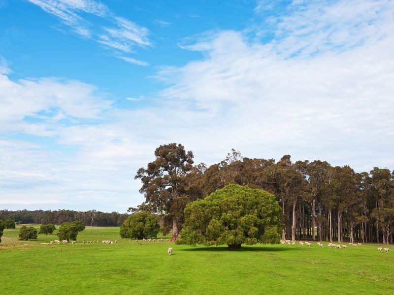 10 Wallis Road, Witchcliffe WA 6286