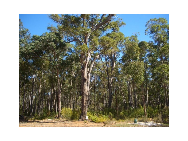 Lot 40, 26 Tinglewood Court, Cowaramup WA 6284
