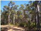 Lot 40, 26 Tinglewood Court, Cowaramup WA 6284