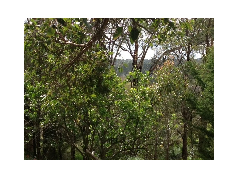 Lot Prop 2 of, 50 Culhane Road, Margaret River WA 6285
