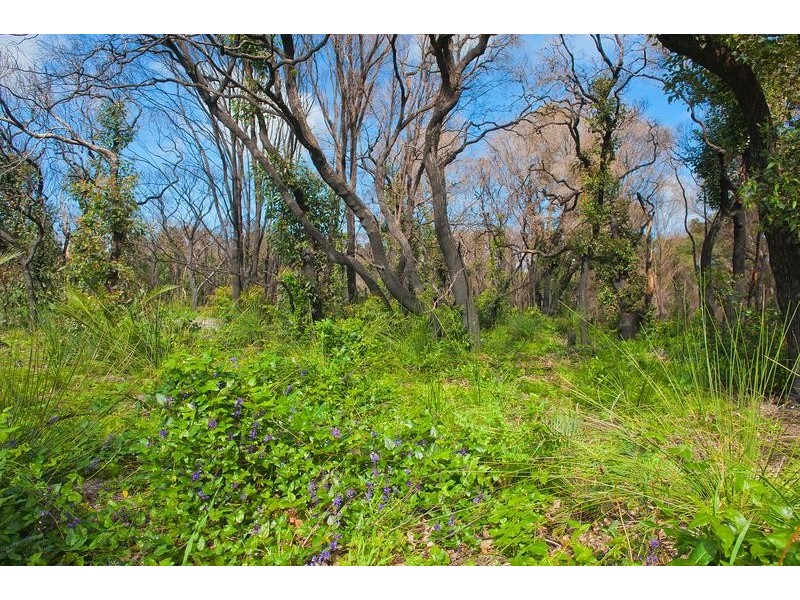 4 Orchid Ramble, Margaret River WA 6285