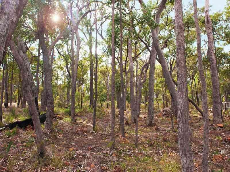 Lot 61, 18 Timber Court, Cowaramup WA 6284