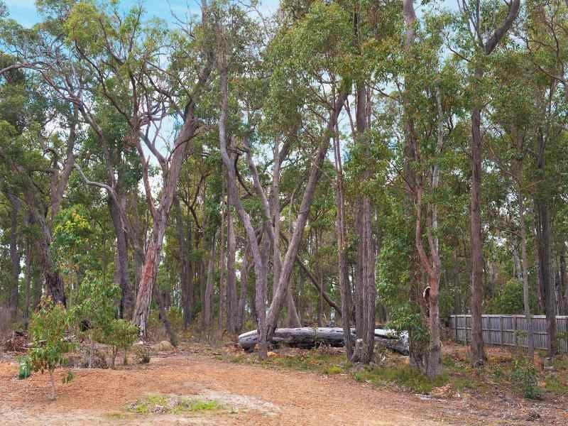 Lot 61, 18 Timber Court, Cowaramup WA 6284