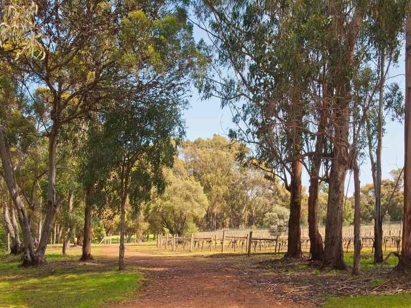 41 Harrington Road, Margaret River WA 6285