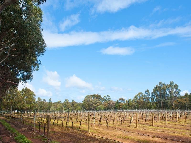 41 Harrington Road, Margaret River WA 6285