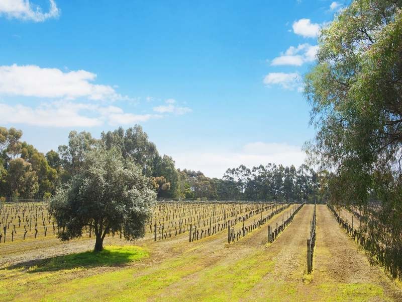 41 Harrington Road, Margaret River WA 6285