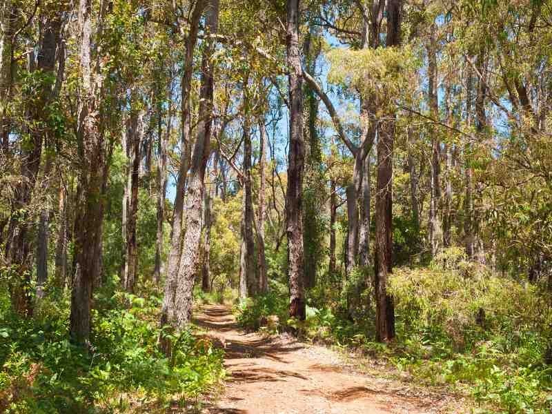 110 Connelly Road, Margaret River WA 6285