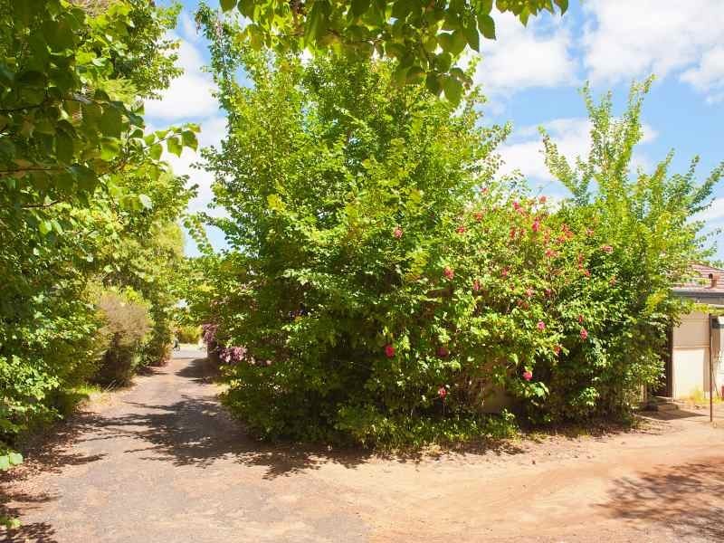 17 Town View Terrace, Margaret River WA 6285