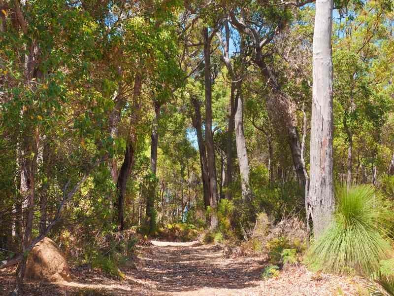P/L 1-18 Redgate Road, Redgate WA 6286