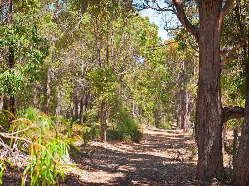 P/L 1-18 Redgate Road, Redgate WA 6286