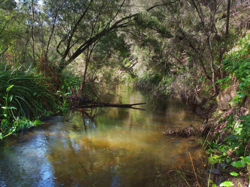 4 Ellen Place, Margaret River WA 6285