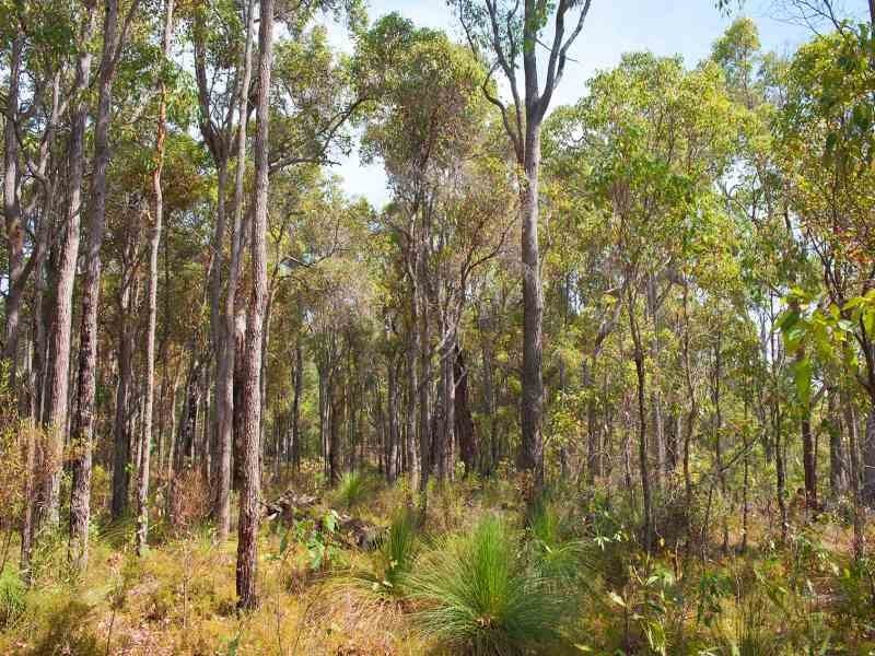 392 Devon Drive, Margaret River WA 6285