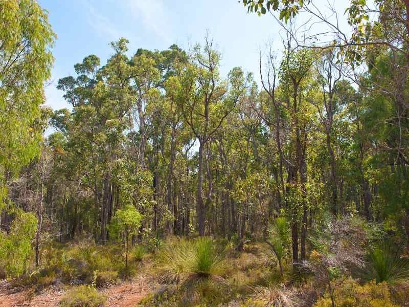 392 Devon Drive, Margaret River WA 6285