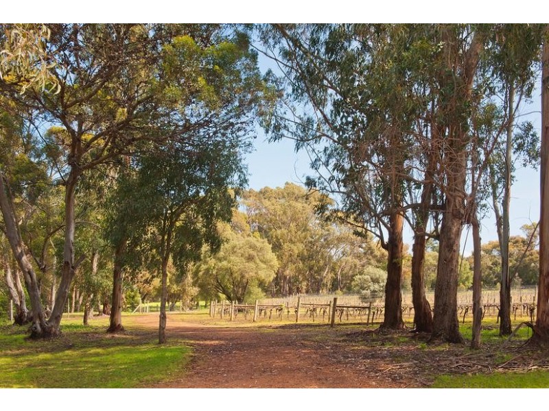 42 Harrington Road, Margaret River WA 6285