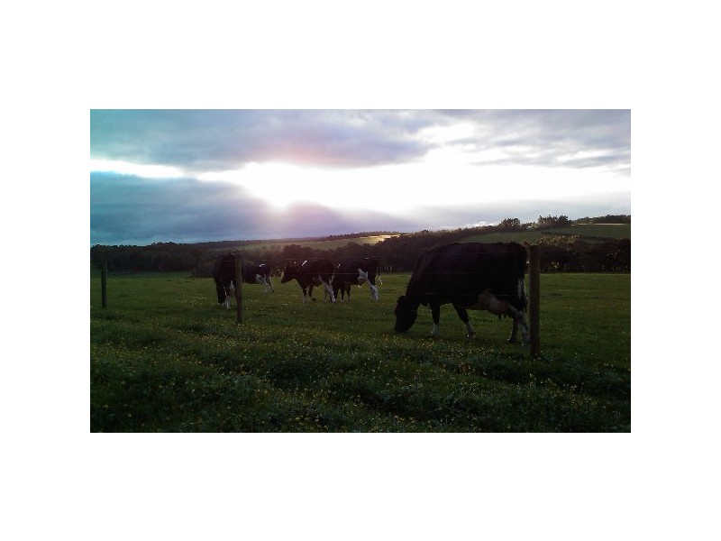 Lot P/L 601, 60 Bessell Road, Rosa Glen WA 6285