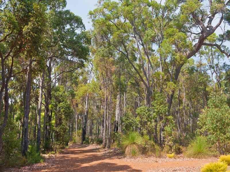 P/L 391 Devon Drive, Margaret River WA 6285