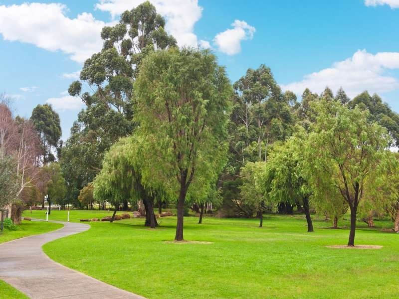 9 Fantail Place, Margaret River WA 6285