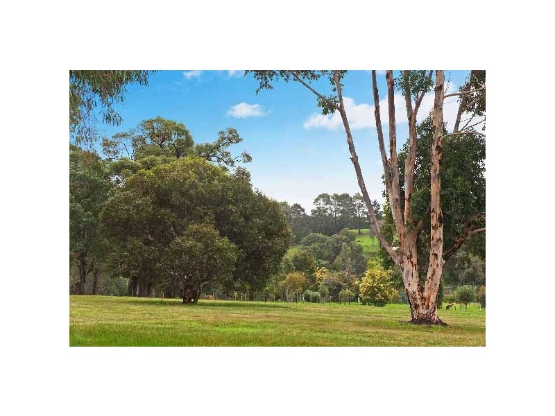 Prop Lots 341 & 343 Kevill Road East, Margaret River WA 6285