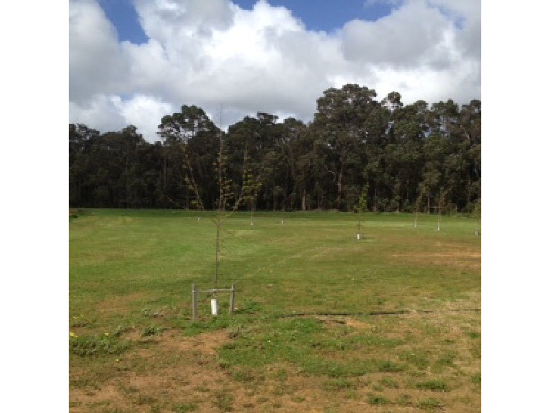 7 Daisy Rise, Cowaramup WA 6284