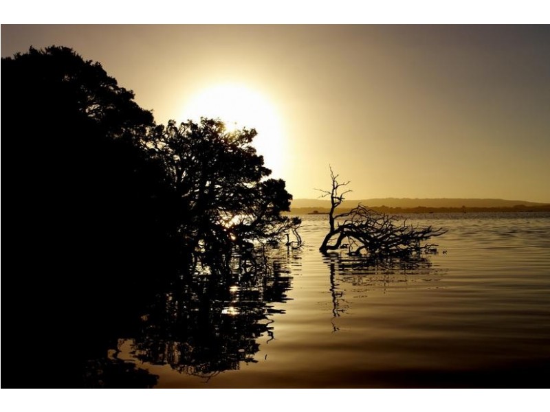 5 Dunkley Close, Molloy Island WA 6290