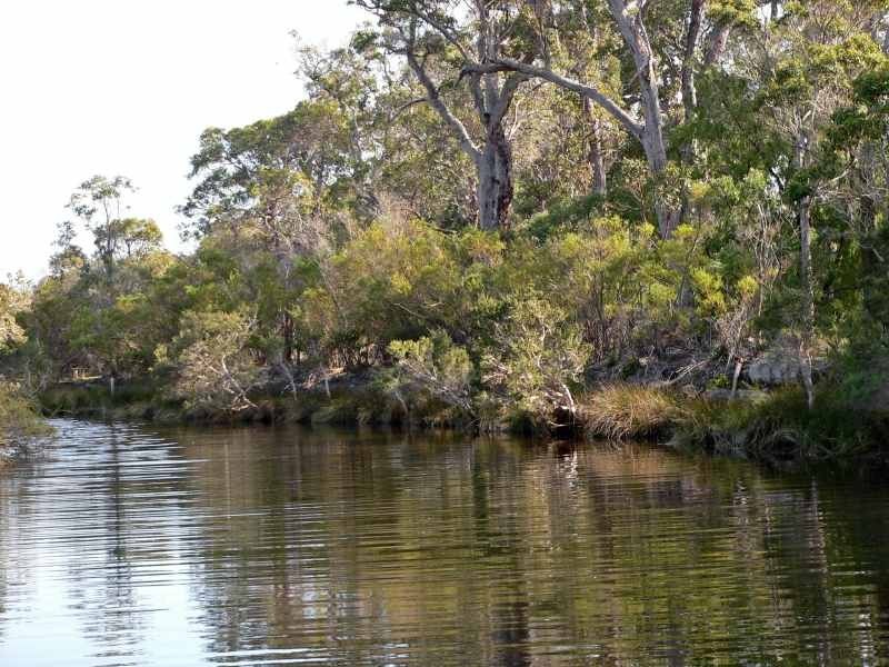 5 Dunkley Close, Molloy Island WA 6290