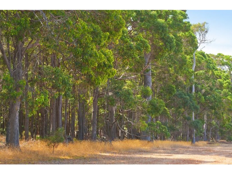 15 Pimelia Drive, Margaret River WA 6285