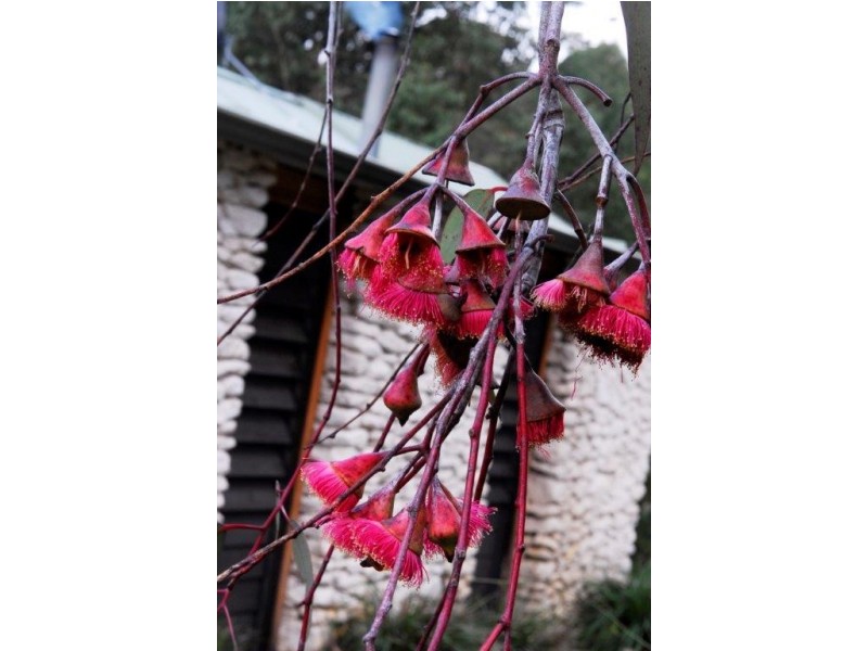 2 Sebbes Road, Margaret River WA 6285