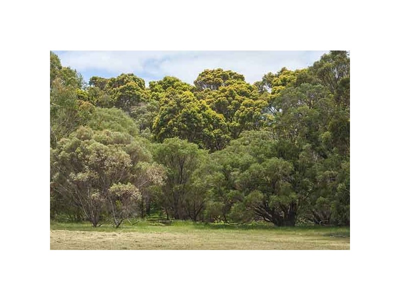 Lot 7 Agonis Close, Margaret River WA 6285