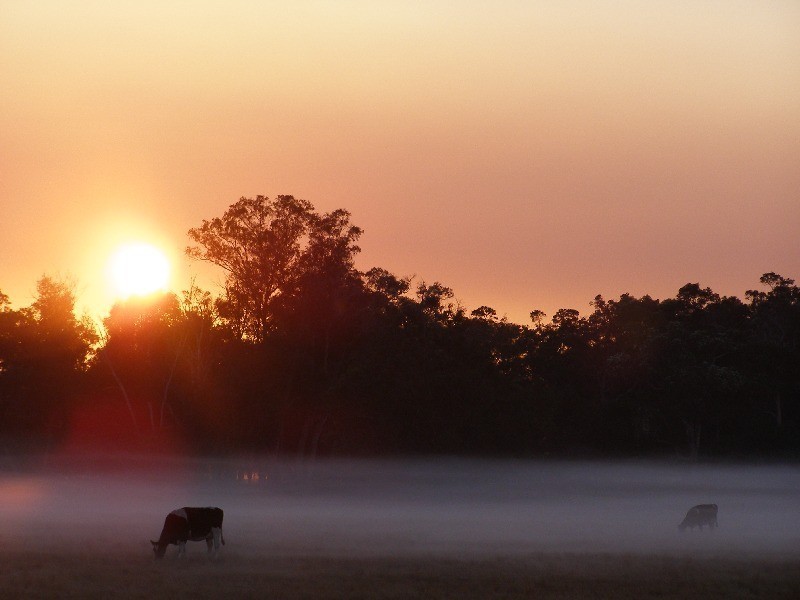 Lot 409, 25 Jacaranda Crescent, Margaret River WA 6285