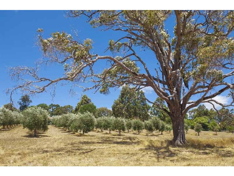 31 Brown Road, Margaret River WA 6285