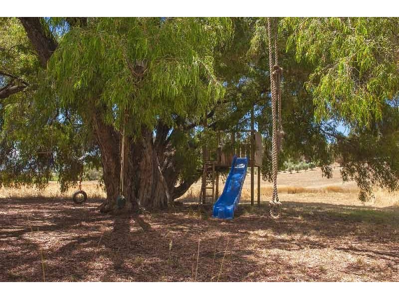 31 Brown Road, Margaret River WA 6285